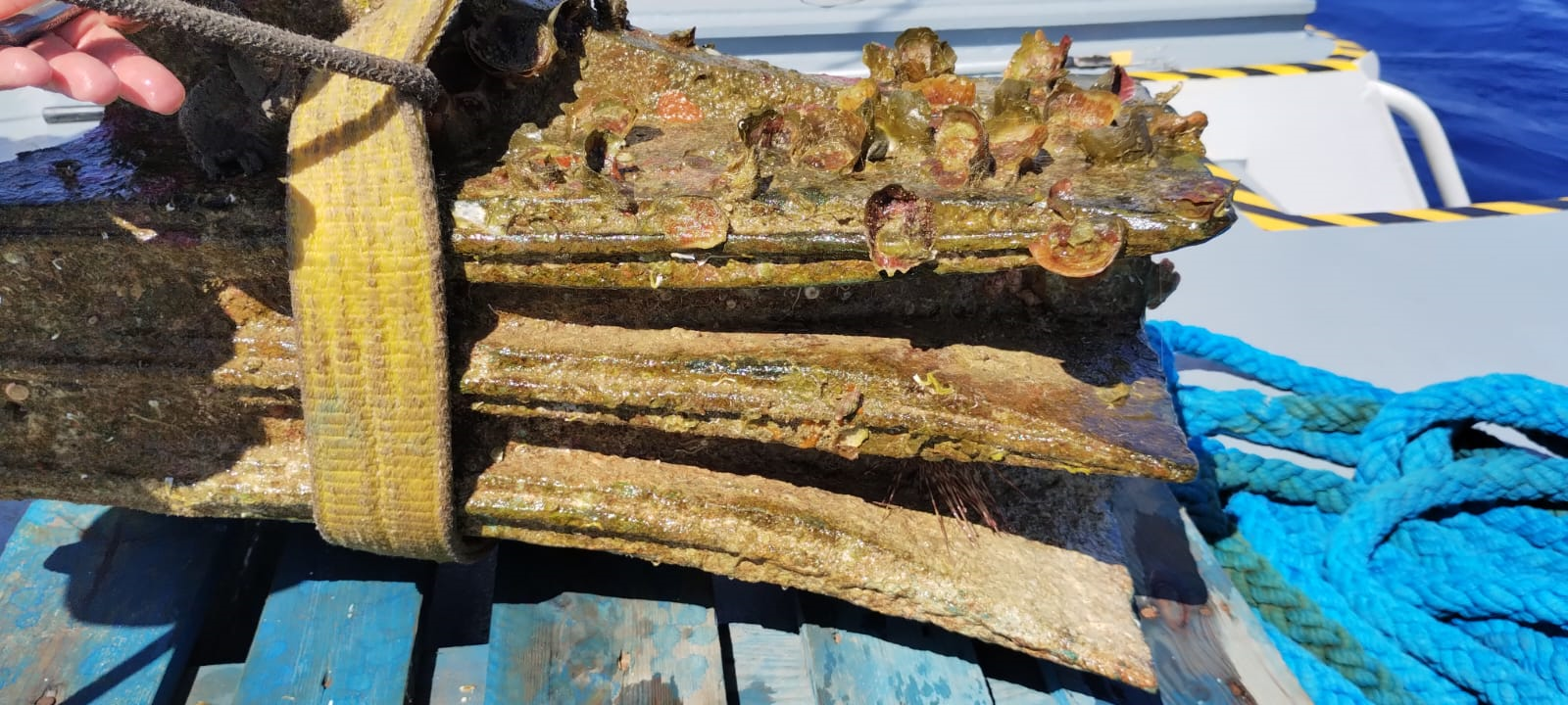 2,300-Year-Old Battering Ram From Roman Warship Discovered Off Sicilian  Coast | IFLScience