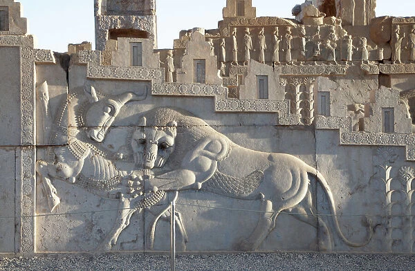 Zoroastrian bas relief depicting a lion hunting a bull, Persepolis, Iran