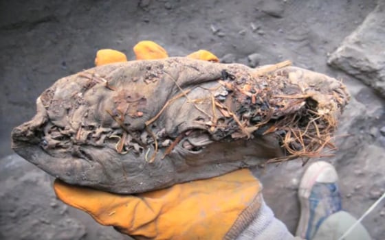 Old shoe steps out after 5,500 years