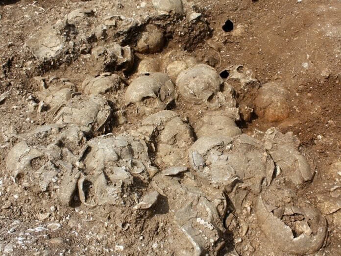 Grisly Discovery: 51 Beheaded Viking Warriors Unearthed in Ancient British  Execution Pit - History