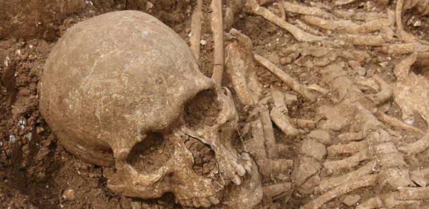 Viking mass grave linked to elite killers of the medieval world |  University of Cambridge