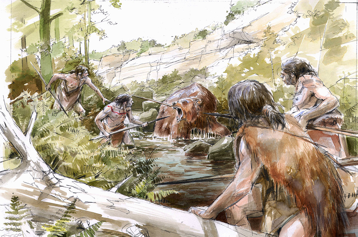 Human ancestors may have hunted cave bears 300,000 years ago | Science |  AAAS