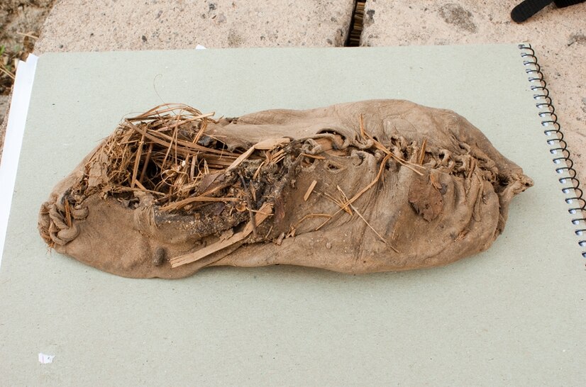 A 5,500-Year-Old Leather Shoe: A Window into Ancient Armenia