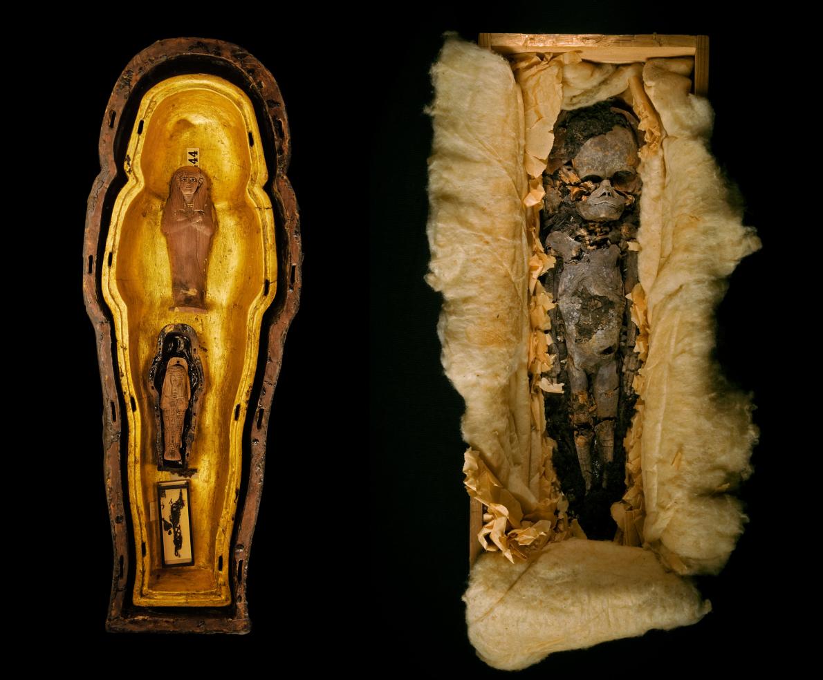 Two foetuses found in the tomb of Tutankhamun are the twin children of his  and the larger foetus is the older daughter of Tutankhamun : r/oddlyweird