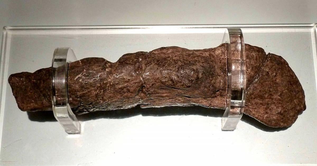 The Largest Preserved Human Poop Ever Found: The Lloyds Bank Coprolite