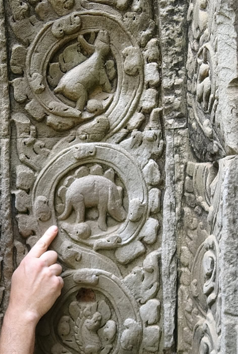 The Stegosaur Engravings at Ta Prohm | Answers Research Journal