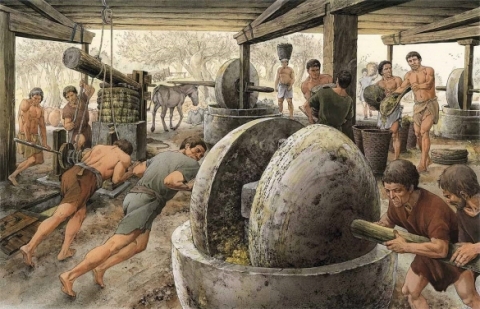 Olive Oil: Essential to Ancient Roman Life