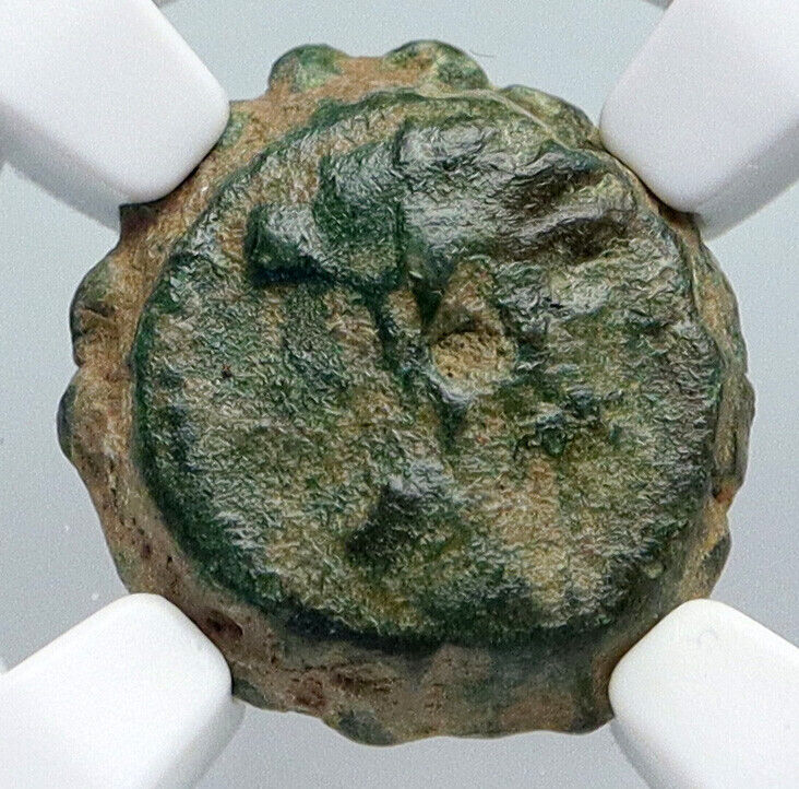 ANTIOCHOS IV EPIPHANES 175BC Authentic Ancient Seleucid Greek Coin NGC  i90427 | eBay