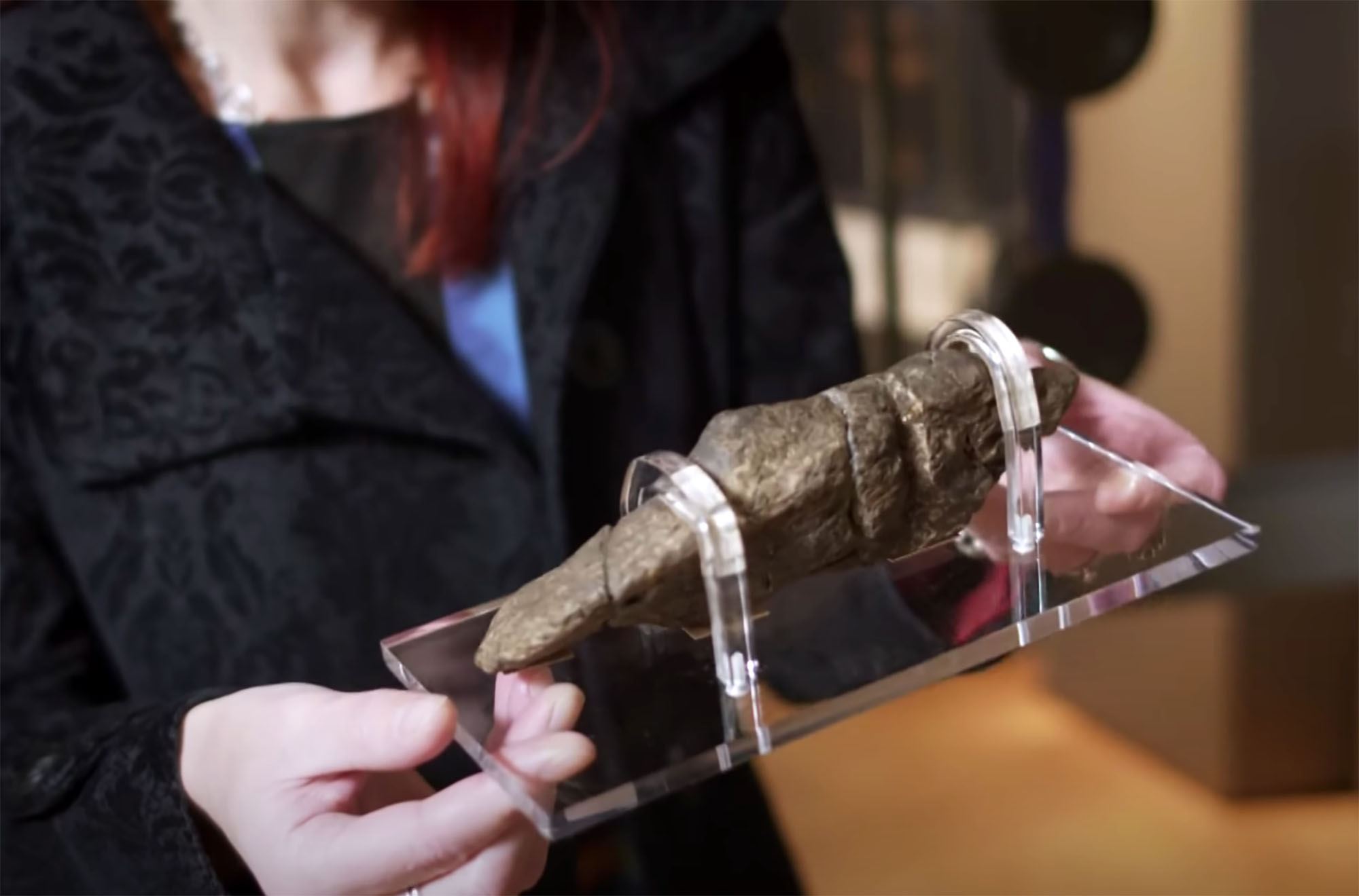 A $39,000 Turd: Fossilized Viking Poo Is World's Most Valuable Excrement » Explorersweb