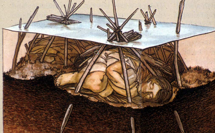 Exploring the Windover Bog Bodies: A Window into Prehistoric Life