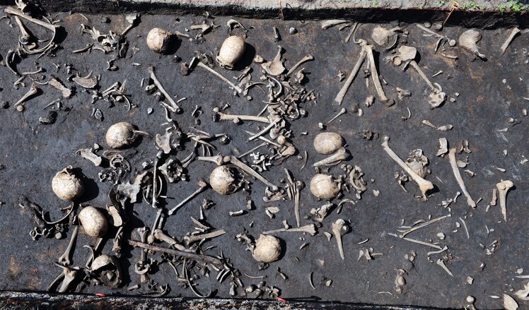 Puzzling artifacts found at Europe's oldest battlefield