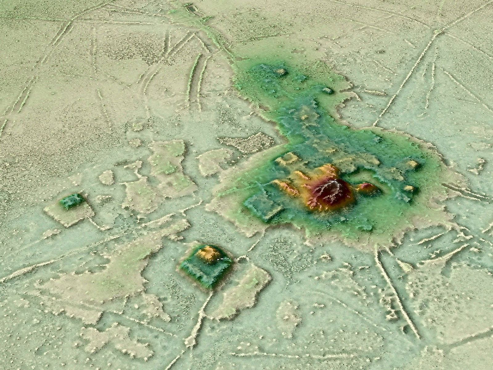 Lost Cities of the Amazon Discovered From the Air | Smithsonian