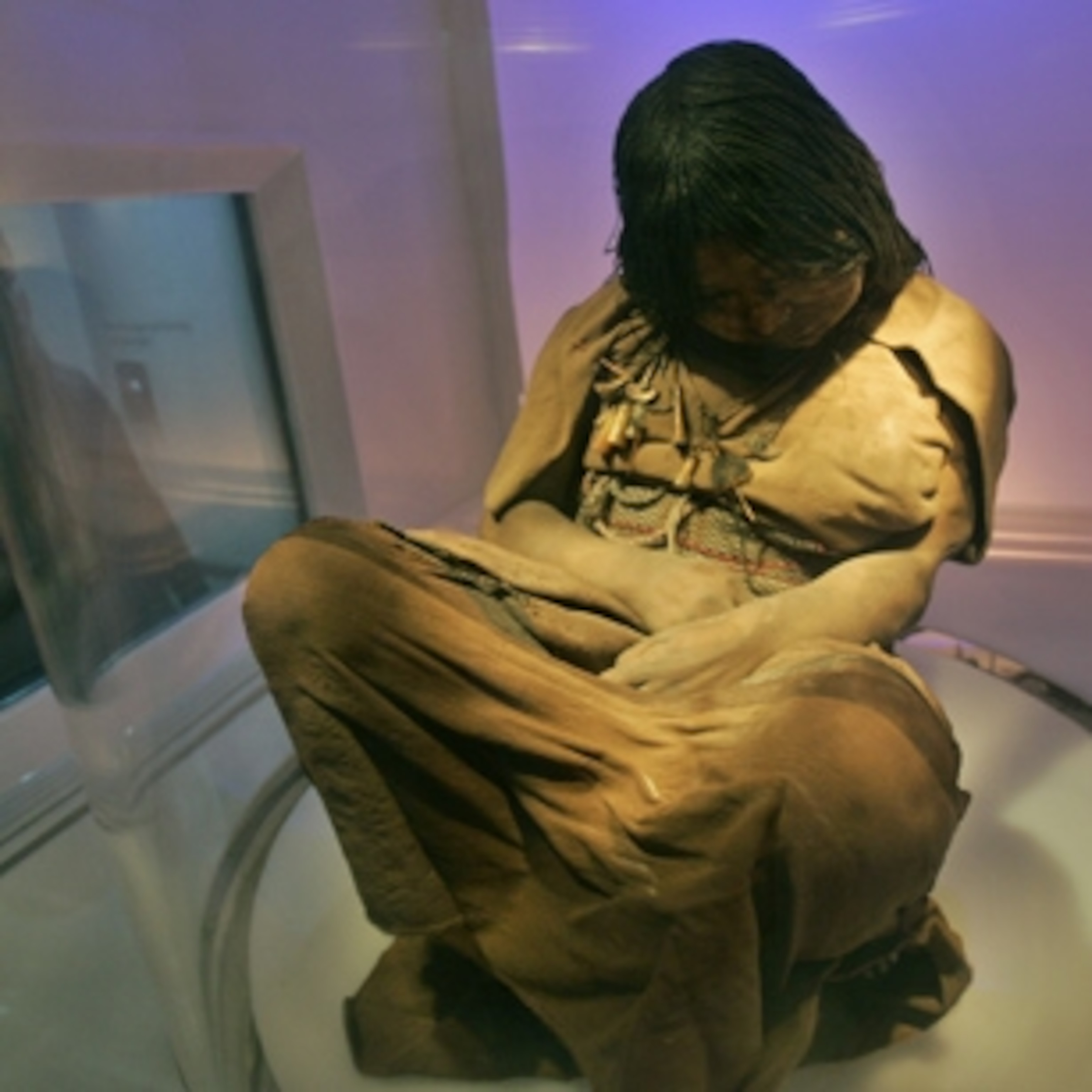 Frozen Inca Mummy Goes on Display