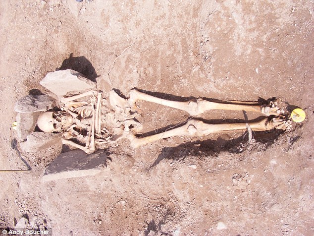 Did this medieval knight die while jousting? Breaks on 12th century skeleton  suggest noble was injured during tournament | Daily Mail Online