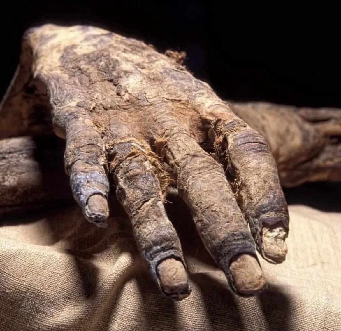 The hands of Ramses IV after 3171 years. Happy mummy Friday to everyone who keeps their nails clean (☞ ͡° ͜ʖ ͡°)☞ : r/AncientCivilizations