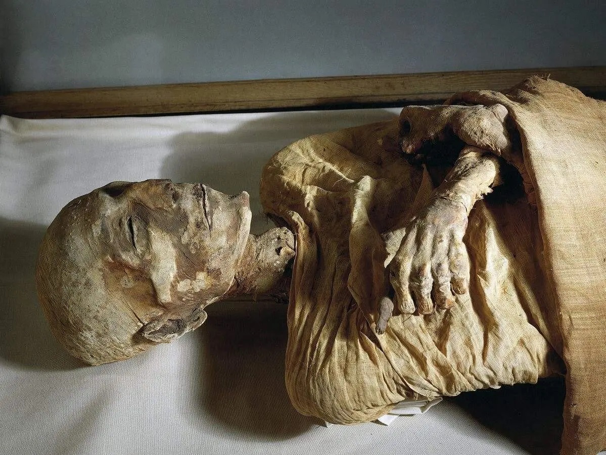 The mummy of Ancient Egyptian pharaoh Merneptah (ruled 1212–1203 BCE), son  and successor of the more famous Ramesses II. [1199 x 901] : r/ArtefactPorn