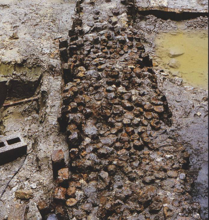 Venice’s Timeless Foundation: 10 Million Wooden Logs Supporting the City Above Water