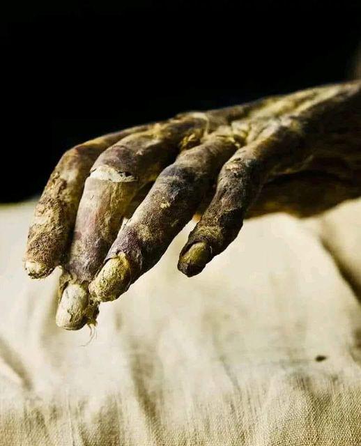 The Mummified Hands of Ramses IV: A Glimpse Into Ancient Eternity