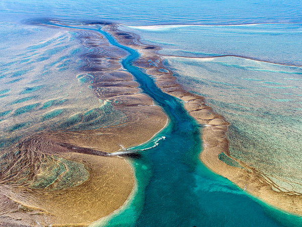 Montgomery Reef - 6760 – Airphoto Australia