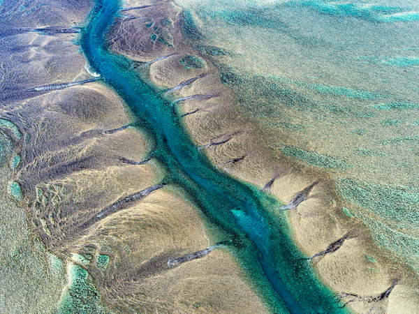 Montgomery Reef - 6763 – Airphoto Australia