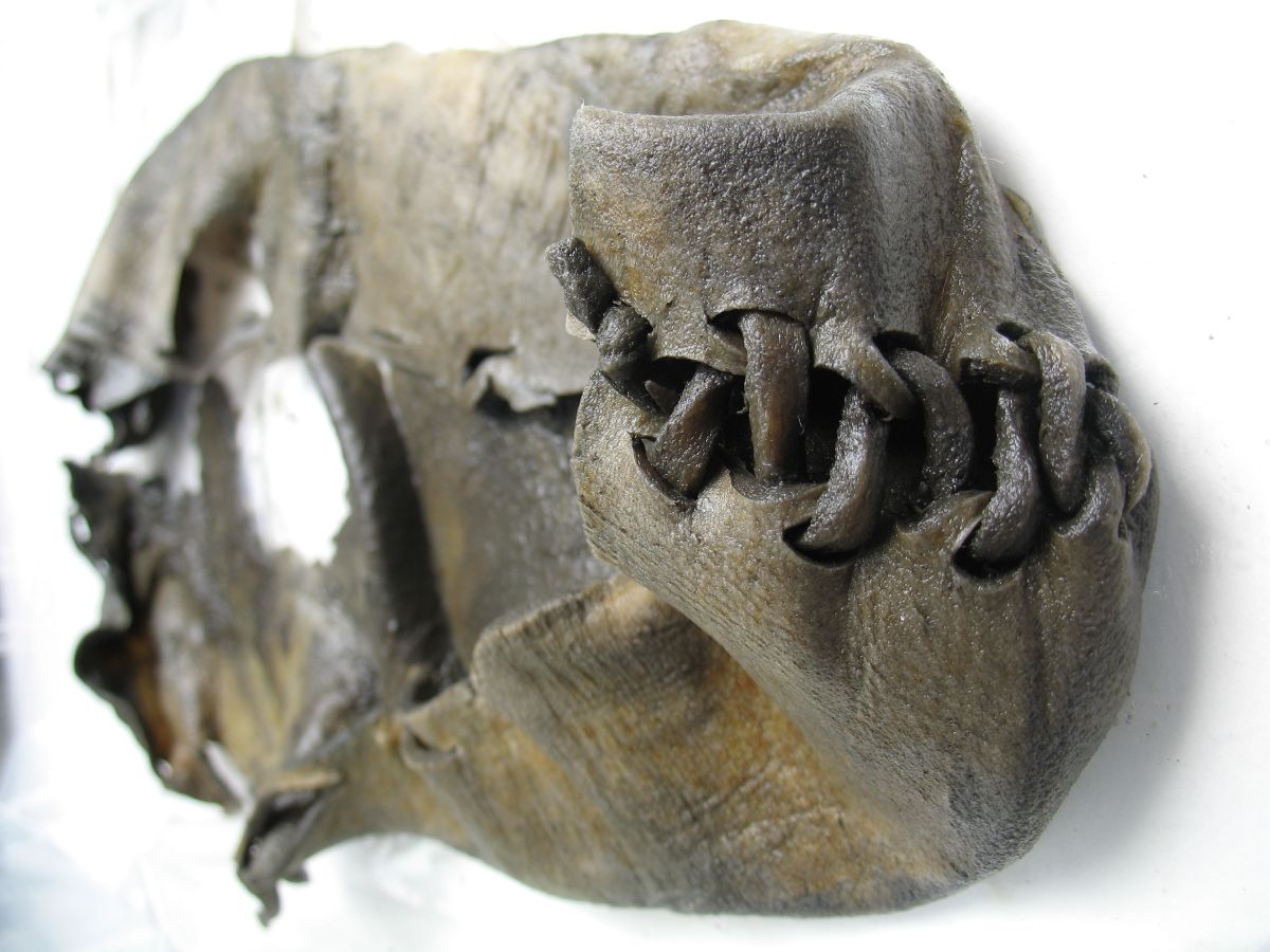 How a hobby archaeologist in Norway unveiled one of the great secrets of  the ice | The Viking Herald