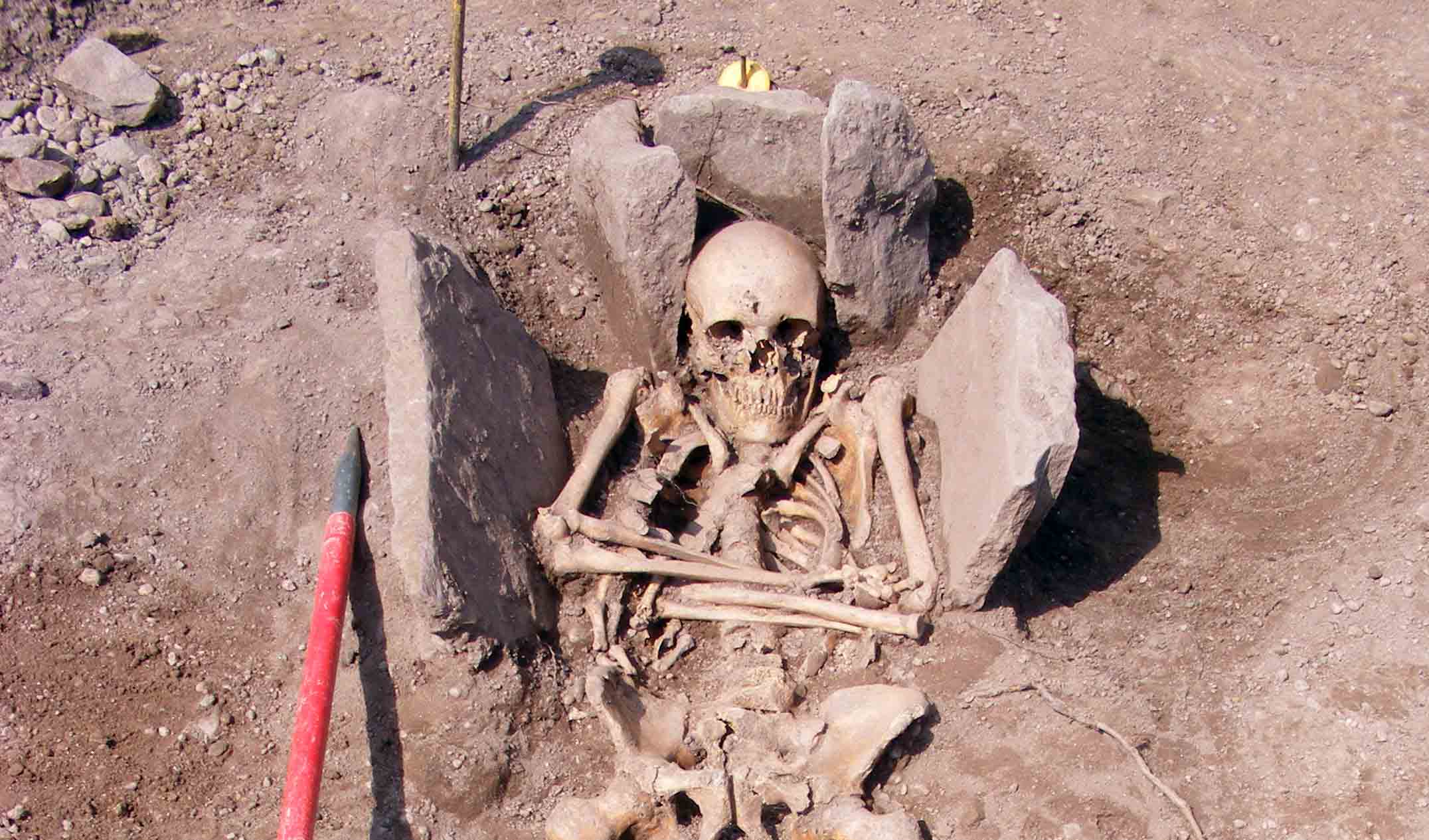 Medieval Knight Unearthed: Skeleton Reveals Brutal Jousting Injuries in England