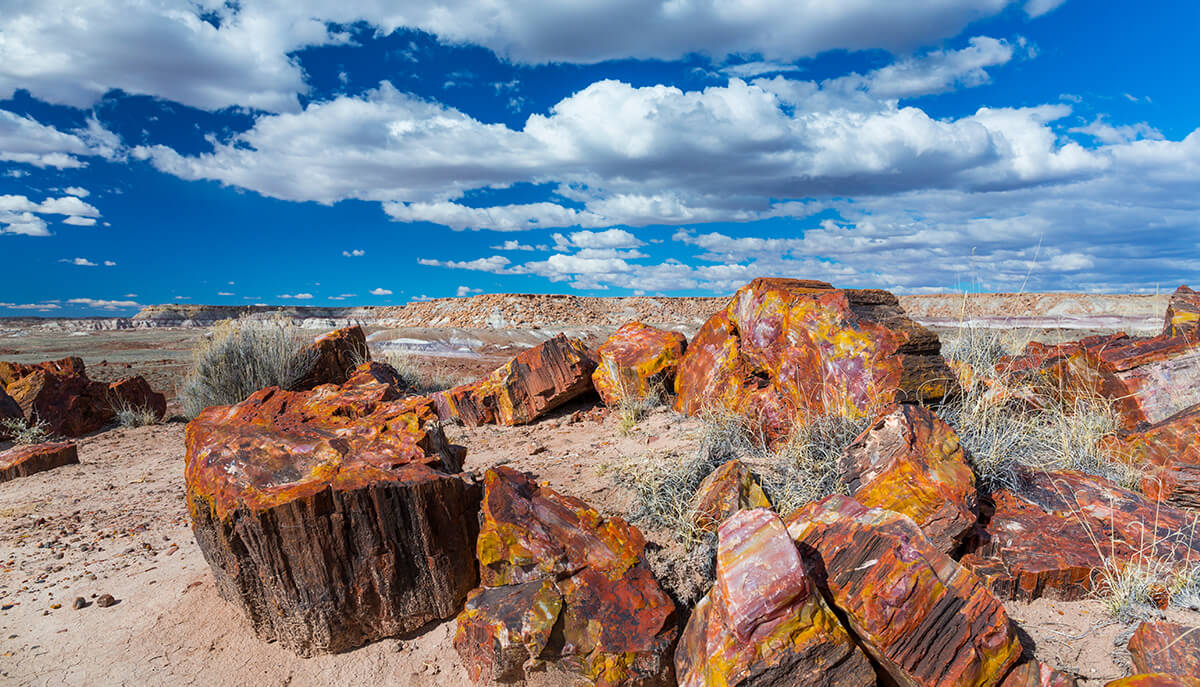 MyBestPlace - The Petrified Forest in Arizona, a masterpiece of nature in the heart of America