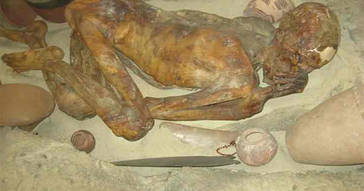 The Gebelein Man, an Ancient Tattooed Murder Victim (Video) | Ancient Origins