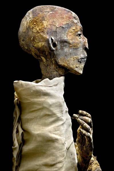 Mummy of Ramesses IV - Egypt Museum