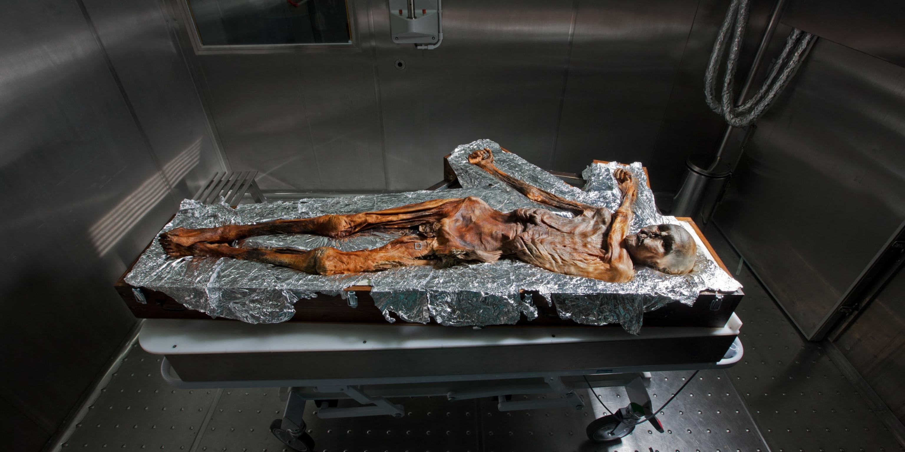 Ötzi: A Frozen Legacy of the Stone Age