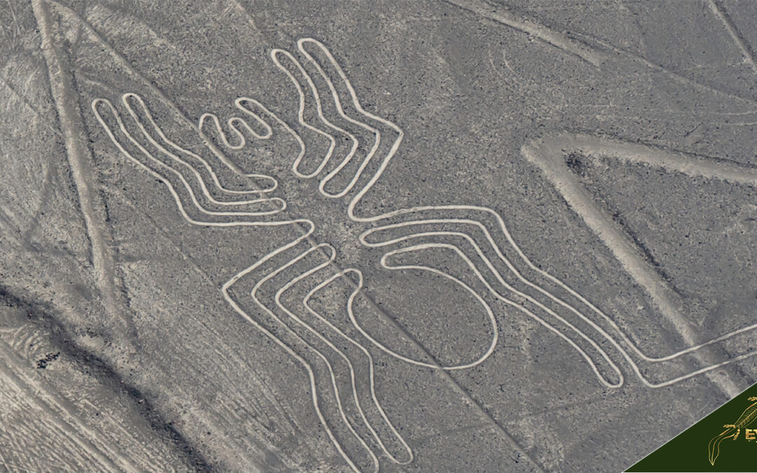 Nazca Lines Peru Guide: Tours, Hiking, Maps, Buildings, Facts, and History - Evolution Treks Peru