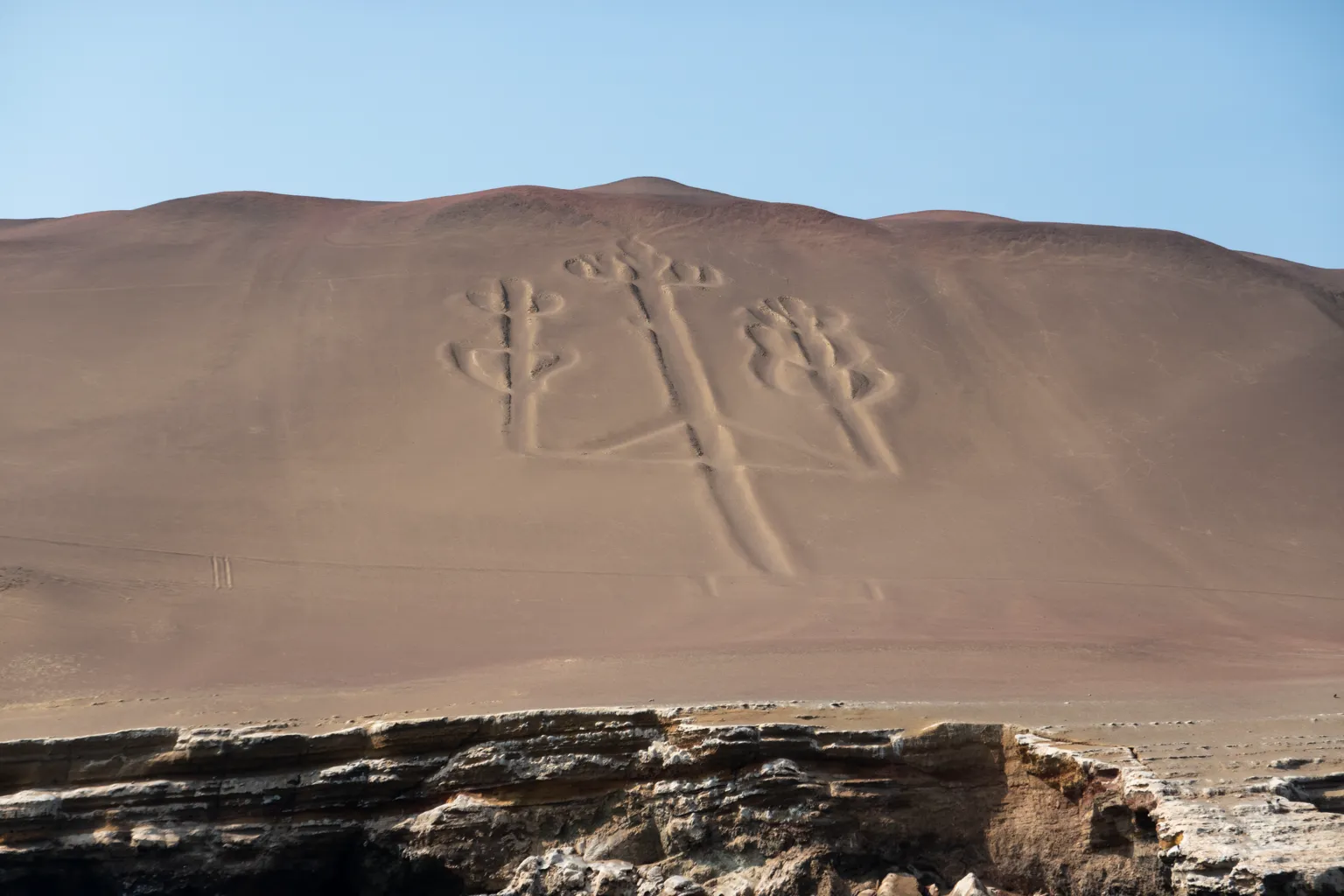 Paracas Candelabra | The Brain Chamber