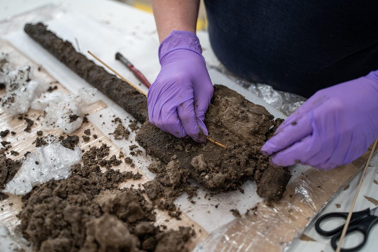 A Rare Discovery: 3,500-Year-Old Wooden Spade Unearthed in Dorset, England