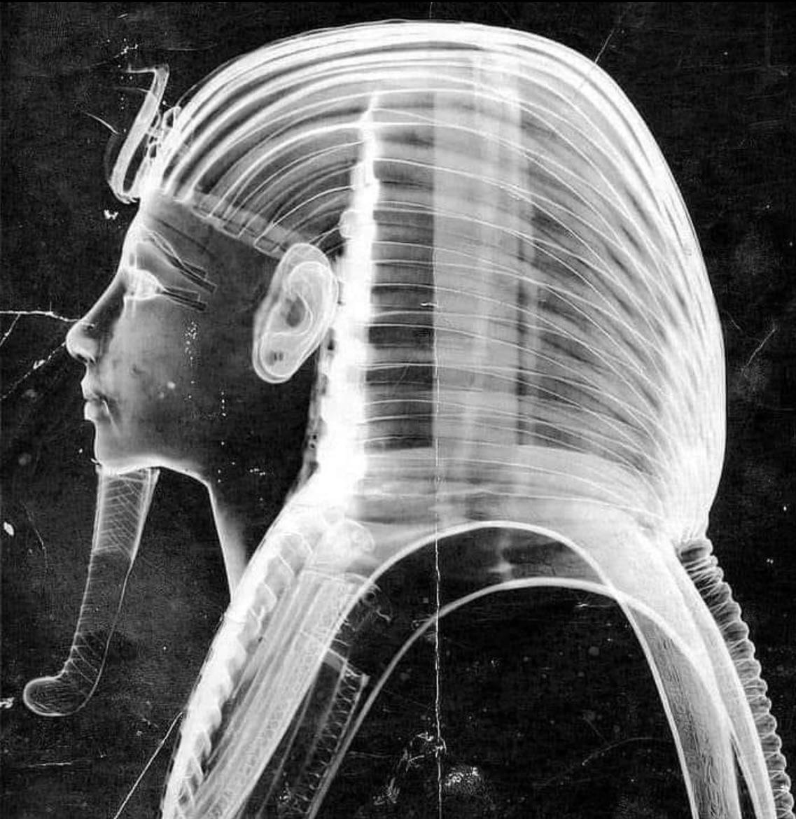 An X-Ray of King Tutankhamun's golden mask revealing hidden secret  (description in comments) : r/interestingasfuck