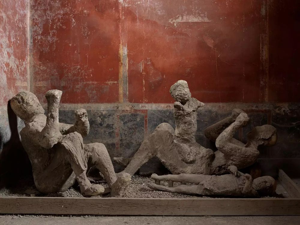 Unveiling Pompeii’s Past: DNA Analysis of Mount Vesuvius Victims