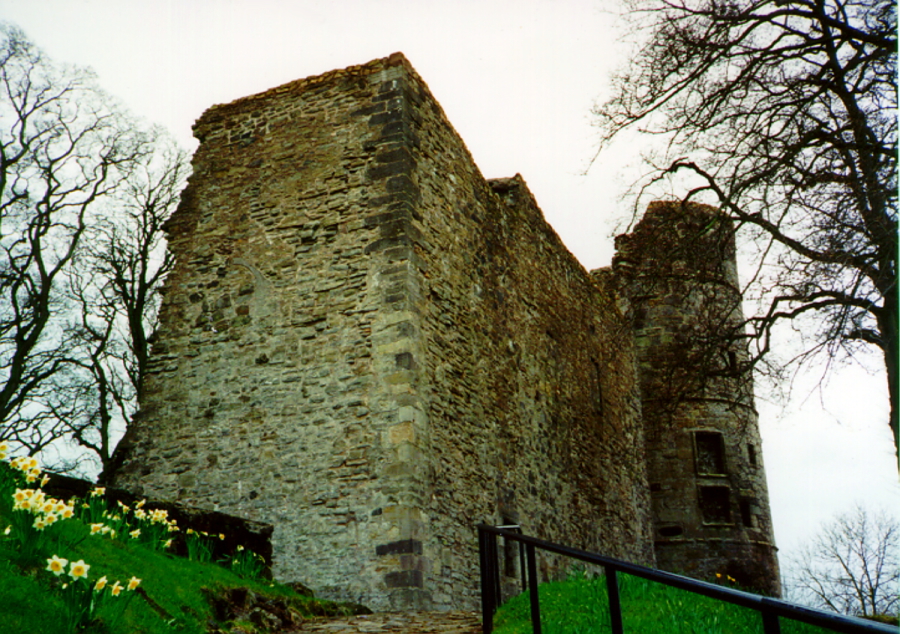 Strathaven Castle | The Castles of Scotland, Coventry | Goblinshead