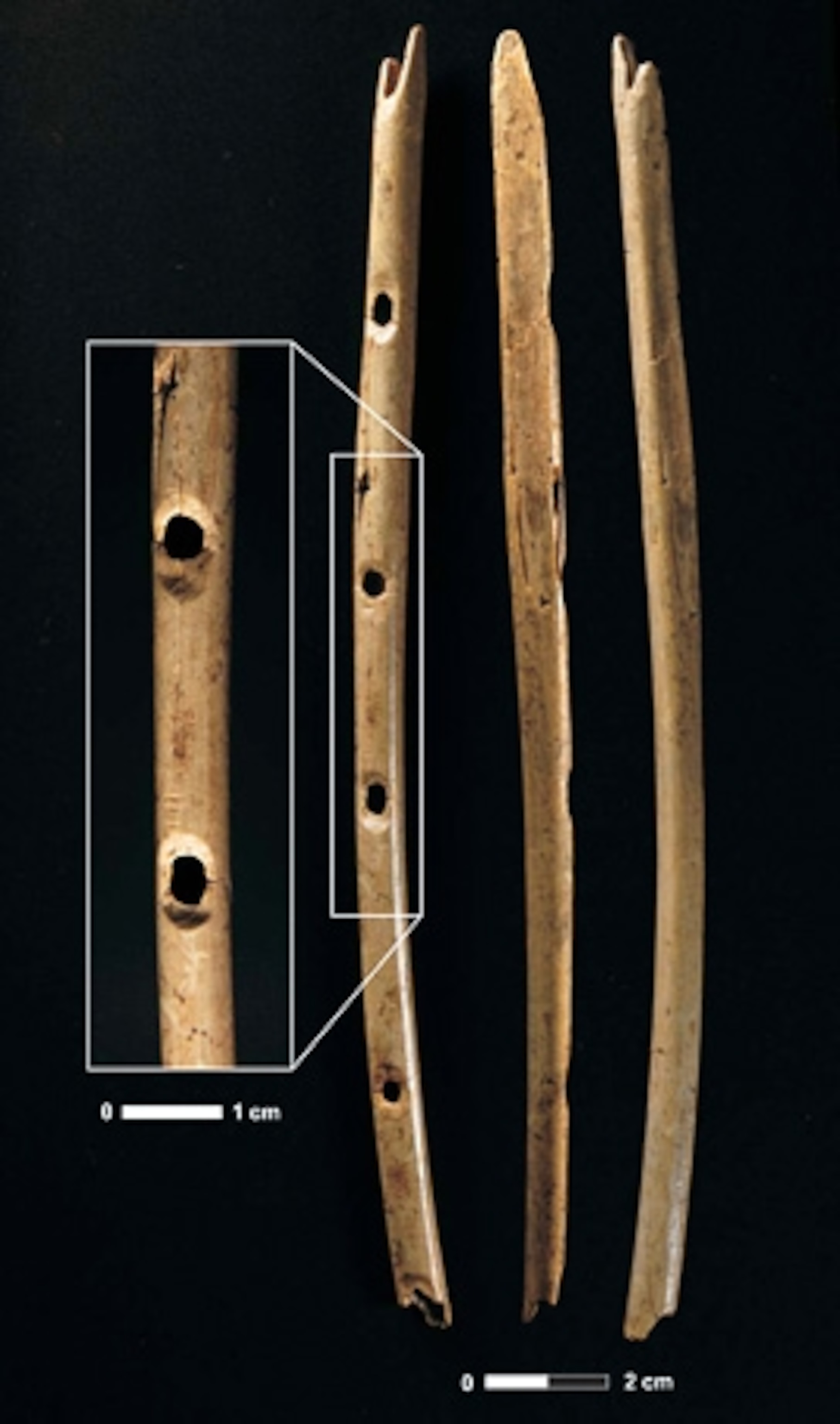 Bone Flute Is Oldest Instrument, Study Says