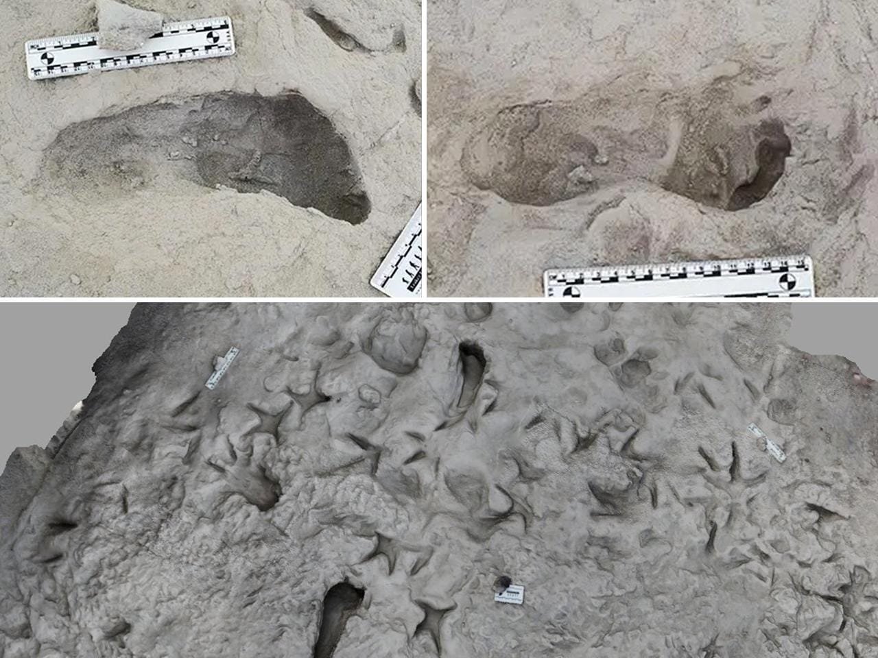 1.5 million-year-old footprints reveal two ancient human species lived together in Kenya | Archaeology News Online Magazine