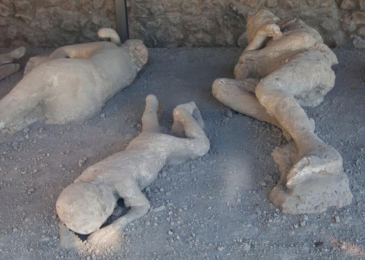 Captured in Plaster: The Preserved Figures of Pompeii