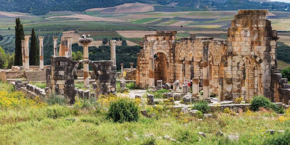 Volubilis: Day Trip From Fez To Volubilis And Meknes