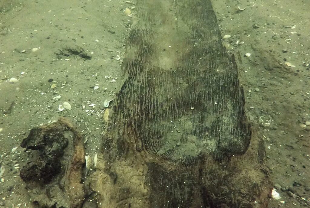 Uncovering 4,500 Years of History: Extraordinary Ancient Canoes Discovered in Wisconsin Lake