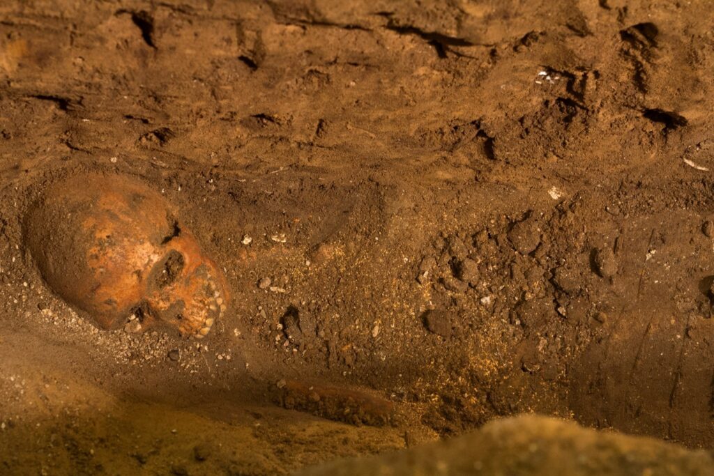 Unearthing History: Skeletons of America’s First Colonists