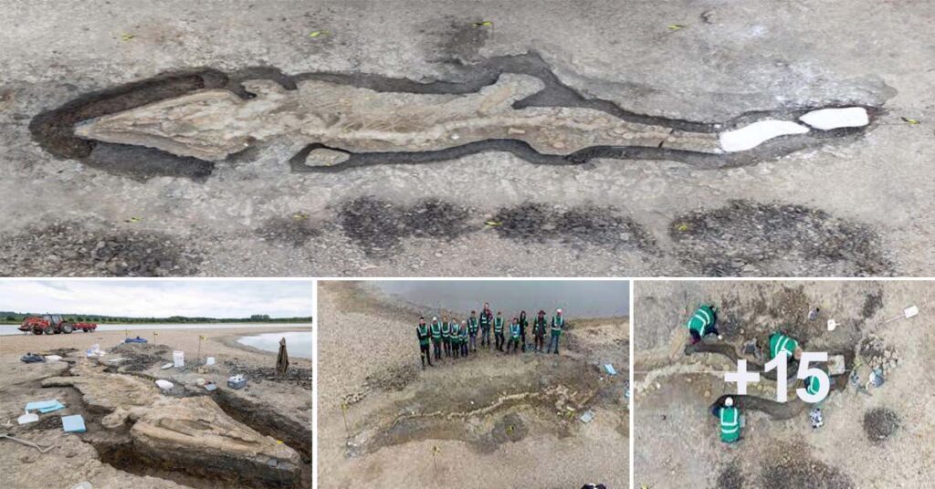 The Rutland Sea Dragon: Unearthing a 180-Million-Year-Old Giant Fossil