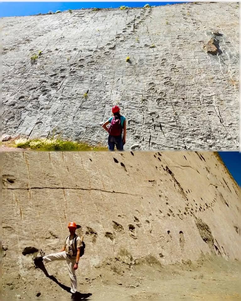 Exploring a World Wonder: The Dinosaur Footprints of Cal Orck’o, Bolivia