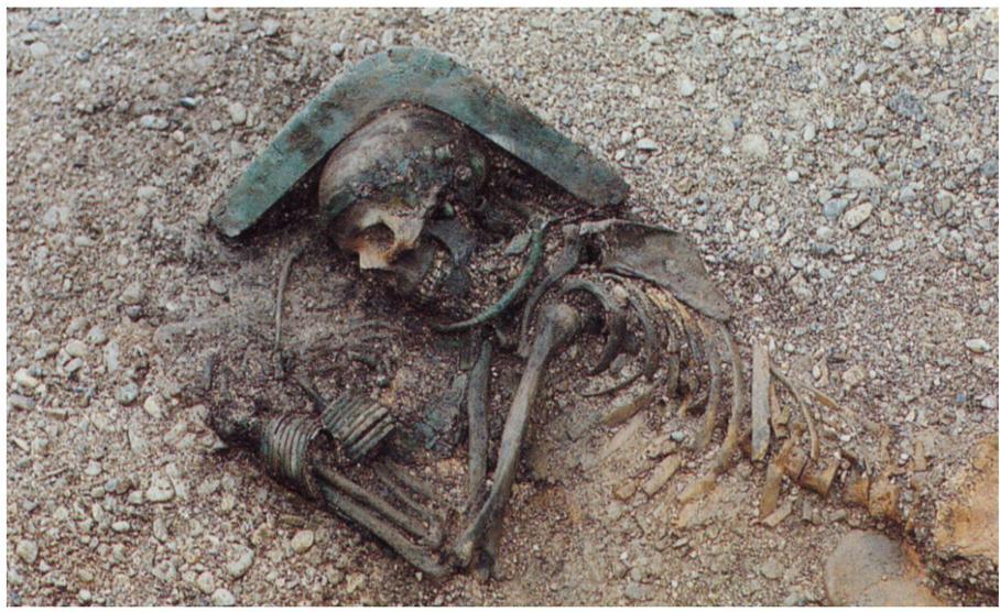 The Remarkable Grave 110: A Glimpse into the Early Bronze Age