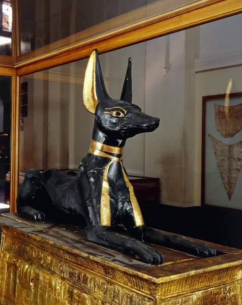 Anubis Shrine of Tutankhamun - Egypt Museum