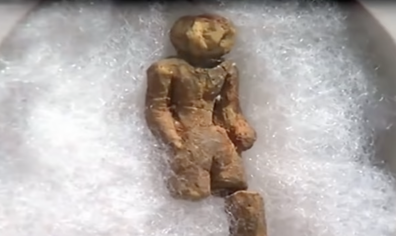 The Nampa Figurine: An Enigmatic Artifact That Challenges History