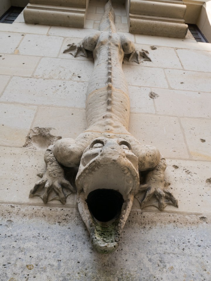 The Salamander drain - Chateau de Pierrefonds, France - www.RoadTripsaroundtheWorld.com