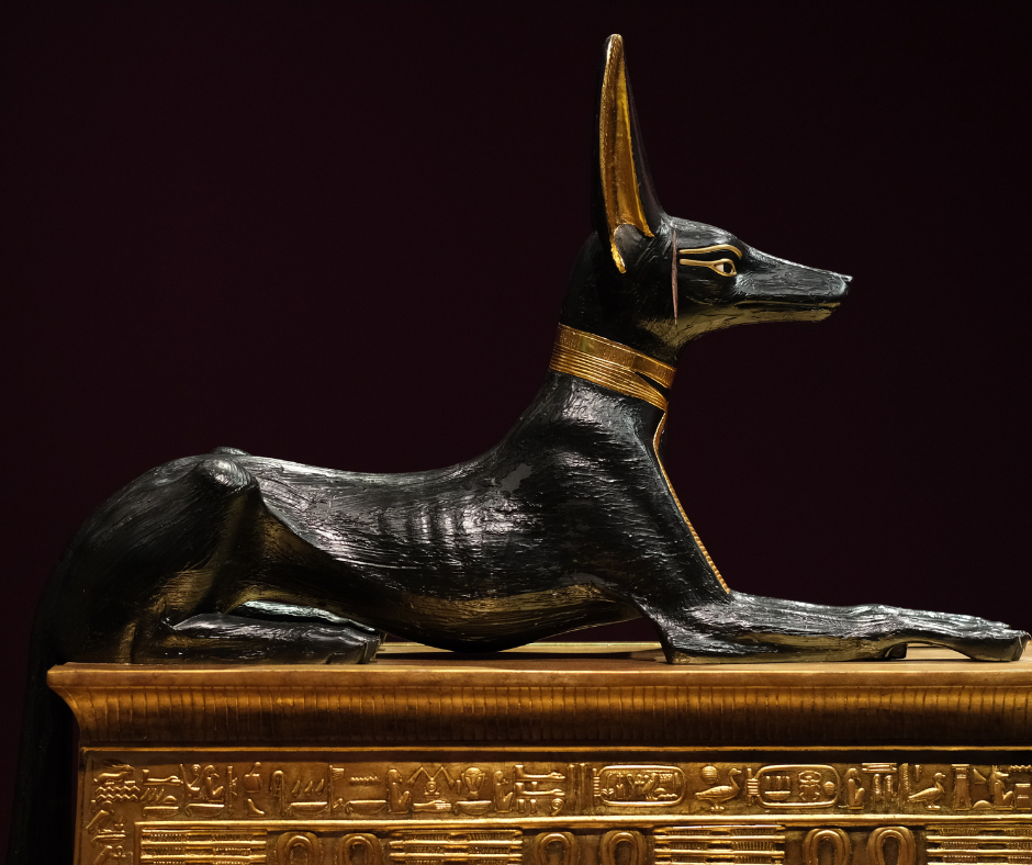 Honoring Anubis: God of the Afterlife and Transitions — Celebrate Pagan  Holidays