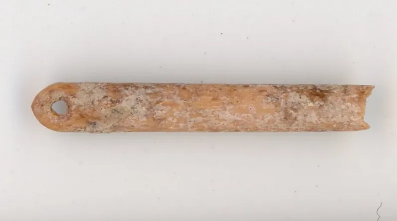 Insights into Ice Age Innovation: Bone Needles from the La Prele Mammoth Site